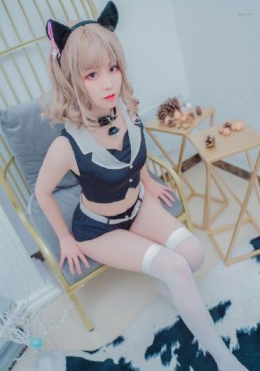 度华年在线观看免费完整版