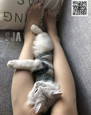 性事奇趣录之阉夫