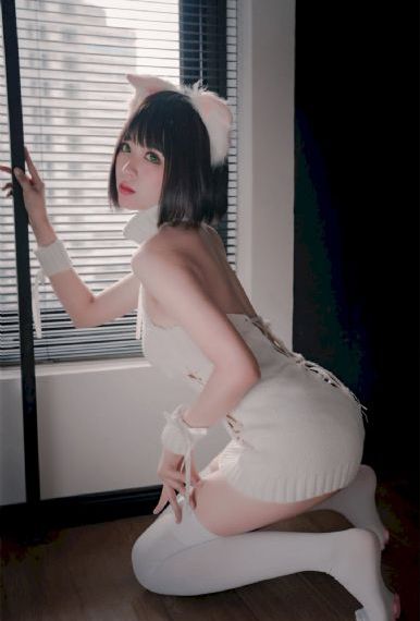 大秦赋全集免费播放