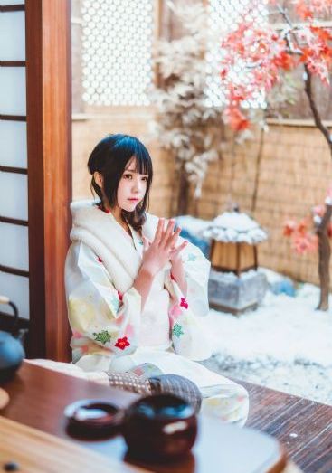 我家娶了花木兰