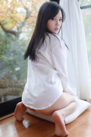 红色骆驼
