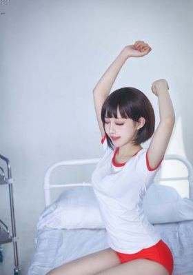 寻情记2024年全集完整版视频播放